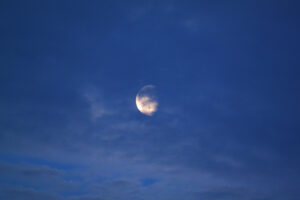 Morning Moon